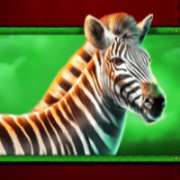 Zebra symbol in Safari King slot