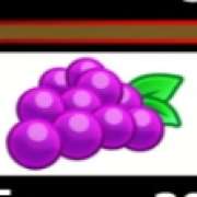 Grape symbol in Triple Double Totem slot