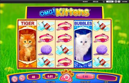 OMG! Kittens (WMS Gaming)